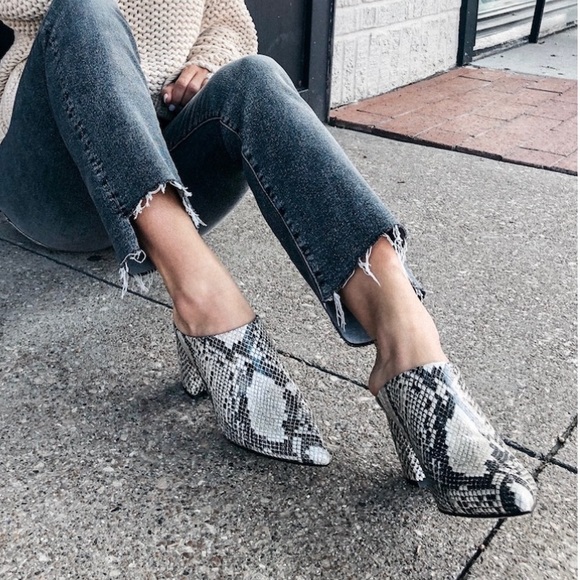 steve madden somerset mall